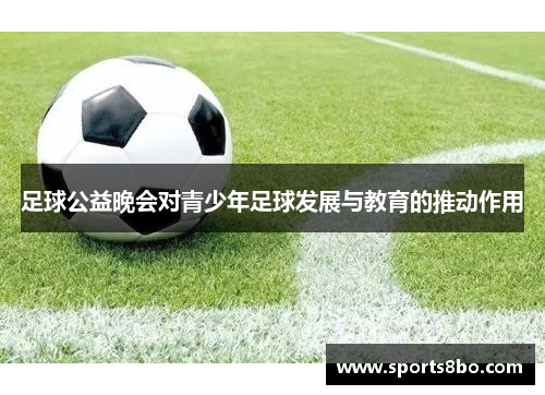 足球公益晚会对青少年足球发展与教育的推动作用